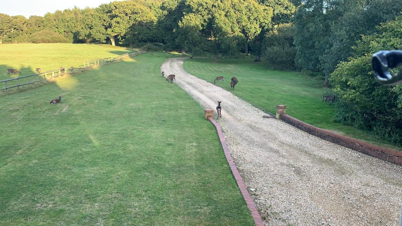 فيلا Langton Matraversفي Yards Brake On 40 Acres Of Private Land المظهر الخارجي الصورة