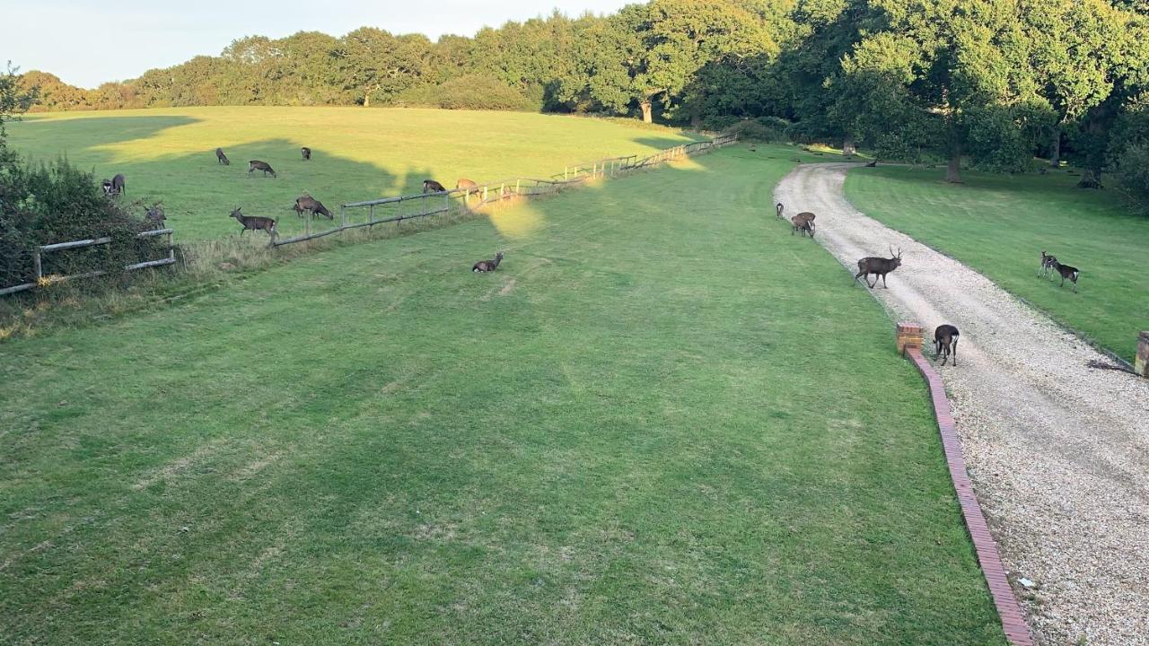 فيلا Langton Matraversفي Yards Brake On 40 Acres Of Private Land المظهر الخارجي الصورة