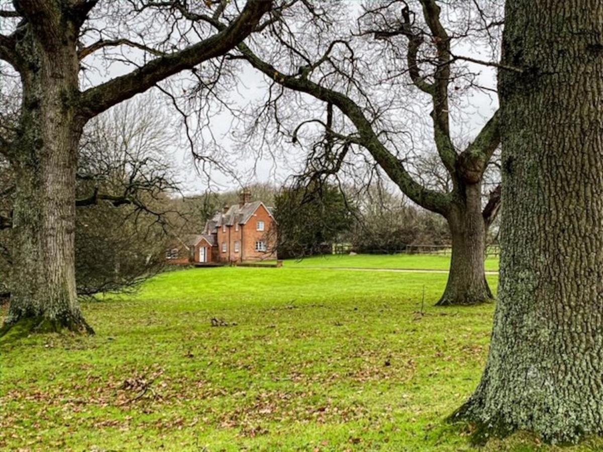 فيلا Langton Matraversفي Yards Brake On 40 Acres Of Private Land المظهر الخارجي الصورة