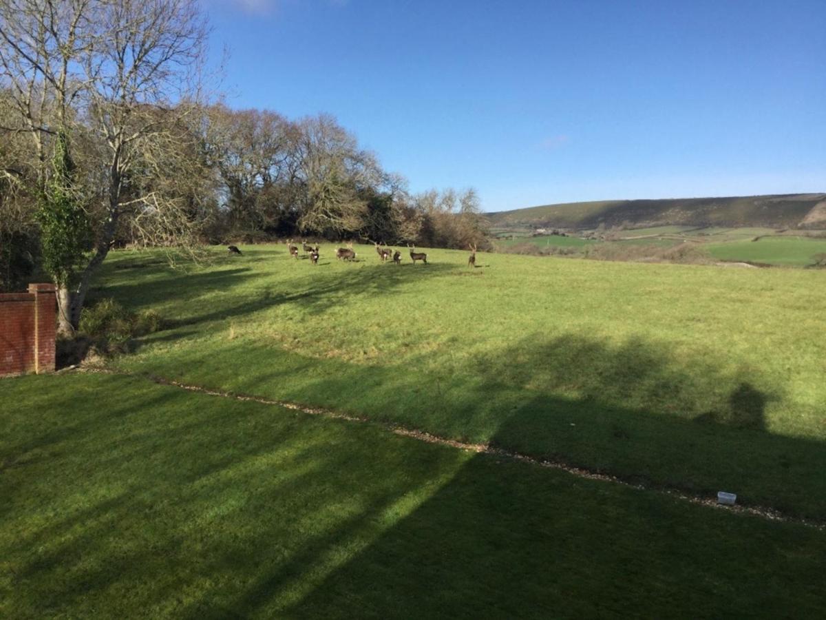 فيلا Langton Matraversفي Yards Brake On 40 Acres Of Private Land المظهر الخارجي الصورة