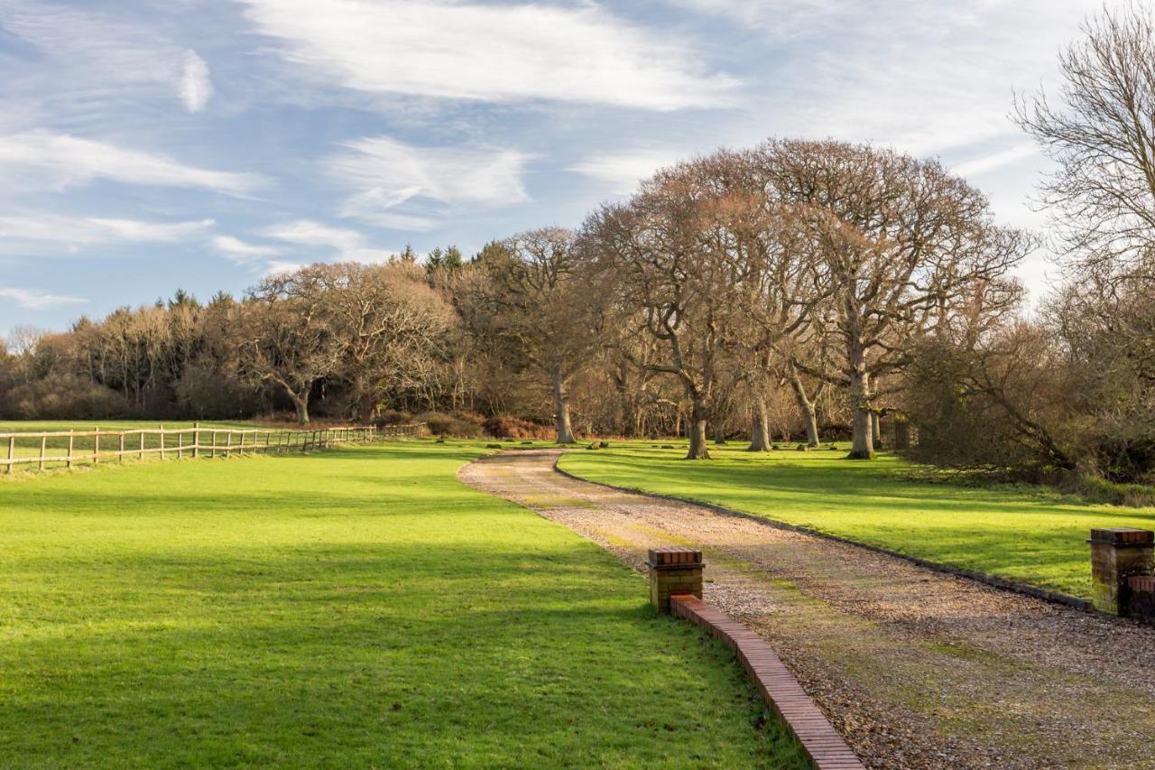 فيلا Langton Matraversفي Yards Brake On 40 Acres Of Private Land المظهر الخارجي الصورة