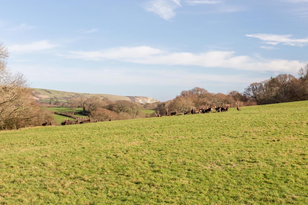 فيلا Langton Matraversفي Yards Brake On 40 Acres Of Private Land المظهر الخارجي الصورة